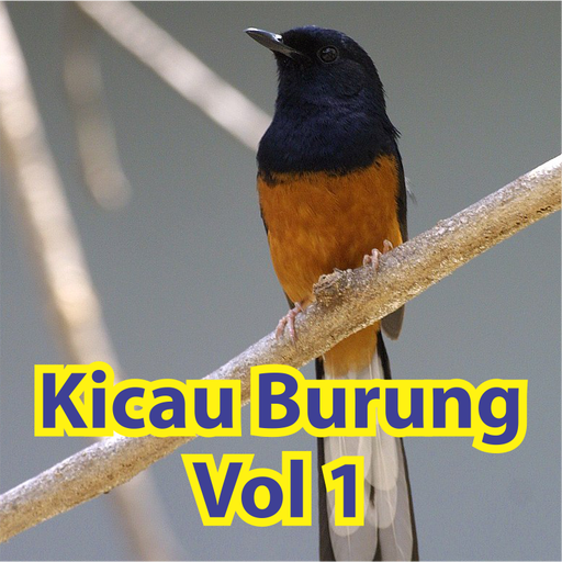 Kicau Burung Terlengkap Ringtone 1 icon