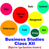 Business Studies XII Class MCQs icon