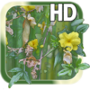 Flower Picture Live HD icon