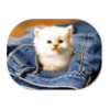 Cat Lover HD Wallpapers icon