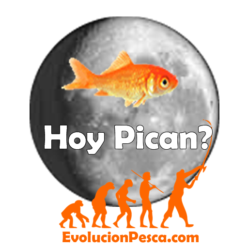 Hoy Pican icon