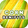 Corn Benefits icon