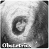 Obstetrics icon