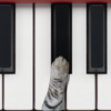 Cat piano icon