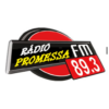 Rádio Promessa Fm 89,3 icon