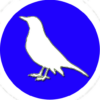 Bird Identifier icon