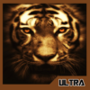 Inspirational Tiger Quotes icon