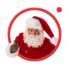 Catch Santa in My House icon