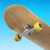 Flip Skater icon