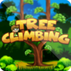 Tree Climbing icon