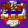 燃えろ!!プロ野球 ホームラン競争 SP icon