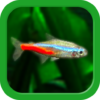 Tropical Aquarium Mini Aqua icon