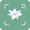 Plant Identification 识花 icon