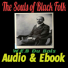 The Souls Of Black Folk Audio icon