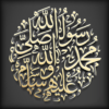 Seerat Un Nabi ﷺ Book icon