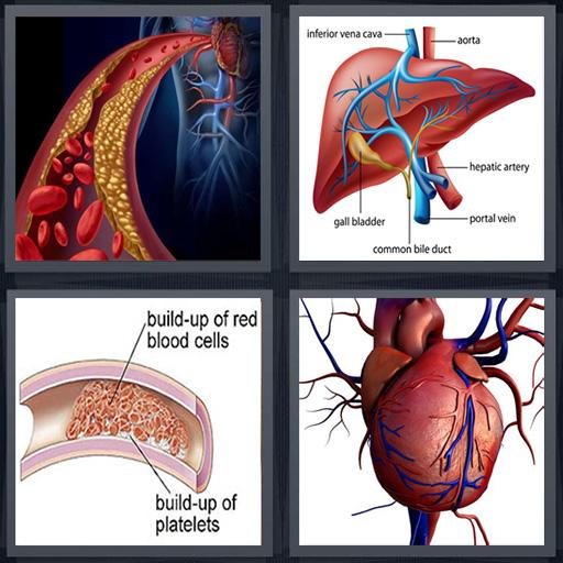 Blood Disease & Treatment icon