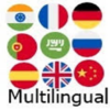 Multilingual icon