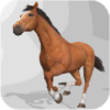 Horse Simulator 3D icon