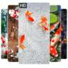 Koi Fish Wallpapers HD 4K, Koi Fish Wallpapers HD icon