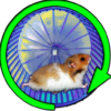 Hamster In a Wheel Desert icon