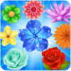 Blossom Splash Mania icon