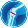 Knee Pain Physical Therapy Exercises icon