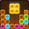 Wood Block Puzzle Classic Block Puzzle Game icon