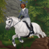 Star Stable Online icon