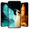 Phoenix Wallpaper icon