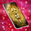 Wild Animals Wallpapers icon