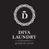 Diva Laundry icon