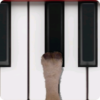 Sheep Piano icon