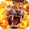 Fire Tiger Live Wallpaper icon