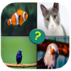 safari animals quiz icon