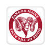 Bangor School Department icon