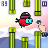 Flying Pet Bird: Pet Bird Game icon