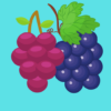 Sort the Grapes icon