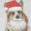 Christmas Photo Editor & Photo Frames icon