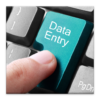 Data Entry Guides Great IT Job icon