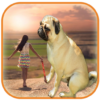 Real Big Camera – Big Effect Photo Editor icon