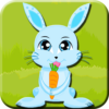 Funny Bunny Crazy Time icon