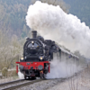 Steam locomotive icon