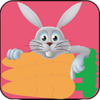 Fast Rabbit icon