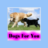 Dogs For You icon