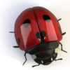 Beetle and Eggs icon