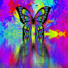 Butterfly Glow icon