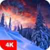 Winter Wallpapers 4K icon