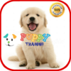 Puppy Training icon