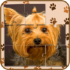 Pets Jigsaw Puzzle Game icon