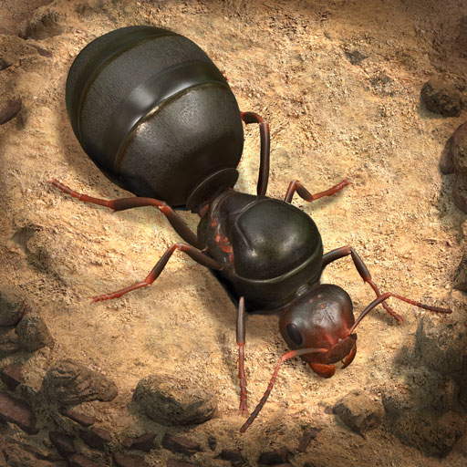 The Ants: Underground Kingdom icon